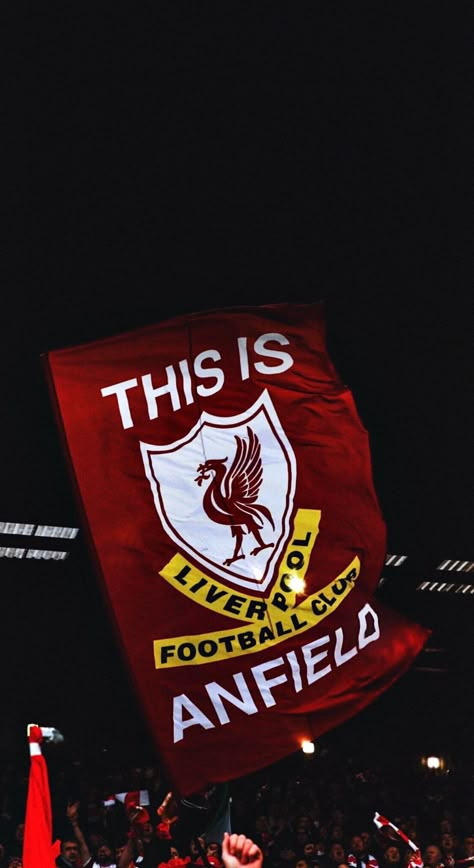 Liverpool Fans Wallpaper, Liverbird Wallpaper, Liverpool Wallpapers Art, Liverpool Wallpapers Iphone, Ynwa Wallpaper, Dominic Szoboszlai, Iphone Wallpaper Liverpool, Liverpool Football Club Players, Liverpool Wallpaper