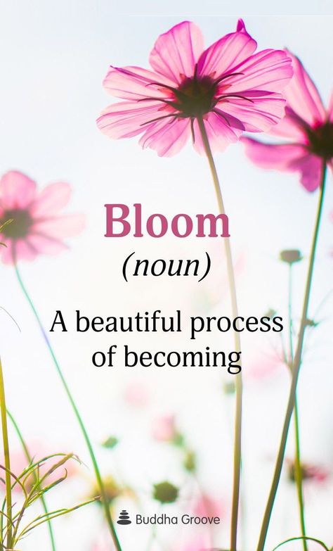 Bloom! – Catherine's Touch Beautiful Flower Quotes, Ftd Flowers, Bloom Quotes, Funny Vine, Floral Quotes, Spring Quotes, Garden Quotes, Flower Quotes, Nature Quotes