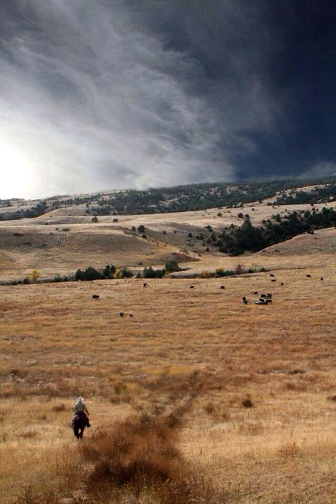 The Great Plains// This summer is going to be amazing. Great Plains, Ranch Life, Old West, The Ranch, A Horse, South Dakota, Country Life, Beautiful World, The Great Outdoors