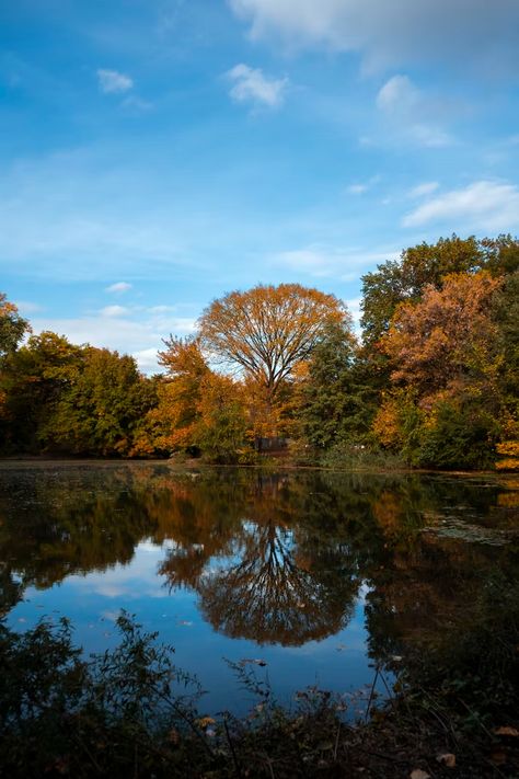 Bondi Aesthetic, Blue Brown Aesthetic, Blue And Brown Aesthetic, Jordans Aesthetic, Brown Eyes Aesthetic, Prospect Park, Blue River, Mirror Effect, Colorful Trees