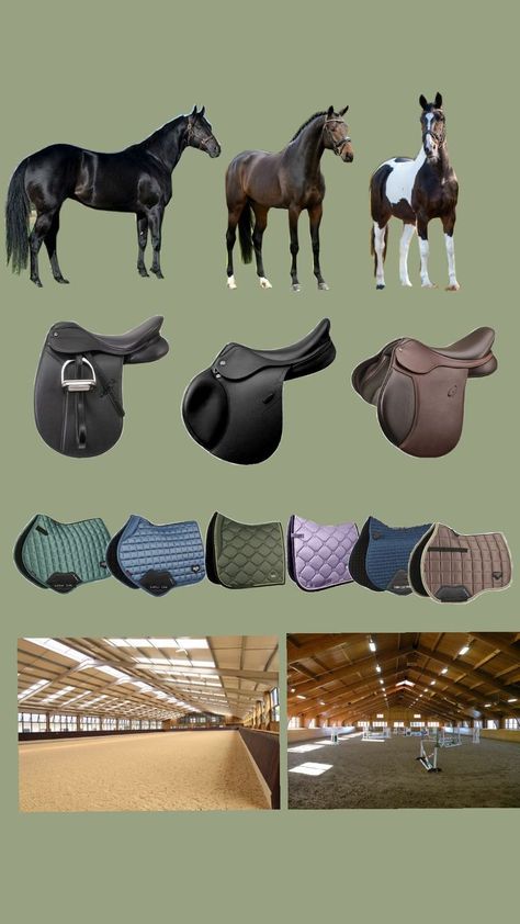 horsesss :D Horse Art Drawing, Horse Riding Clothes, Star Stable, Horse Accessories, Hunter Jumper, Saddle Pad, Horse Life, Riding Outfit, Show Jumping