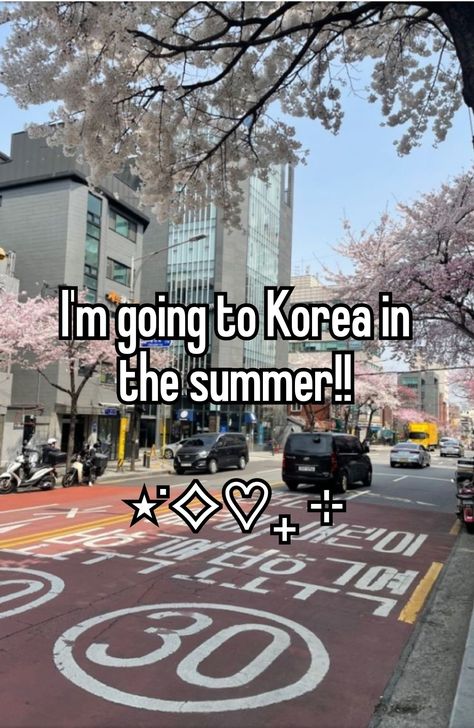 Summer In Seoul, Kpop Summer, Summer Vision, Im So Excited, Korean Summer, Relatable Things, Seoul Korea, Digital Diary, So Excited