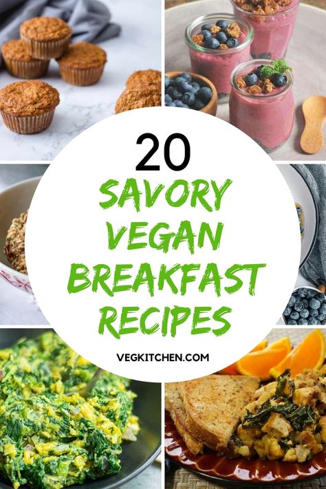 vegan friendly breakfast recipes French Sandwiches, Savory Vegan Breakfast, French Tacos, Savory Breakfast Ideas, Green Smoothie Bowl Recipe, Vegan Quesadilla, Vegan Breakfast Recipes Easy, Savoury Breakfast, Vegan Breakfast Ideas