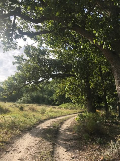 a quiet farm stay Quiet Vibe, Quiet Lifestyle, Quiet Life Aesthetic, Got My License, Sol Aesthetic, Ted Kaczynski, Quiet Nature, Traveling Nature, Simple Living Lifestyle