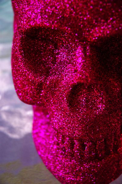 Pink Glitter Skull by amInkie, via Flickr (probably my favorite Target purchase EVAR) - on top of stack of art books on coffee table Glitter Tumblr, Glitter Skull, Skull Crafts, Fall Halloween Crafts, Skulls And Roses, Skull Decor, After Life, Everything Pink, Wedding Humor