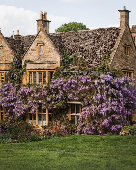 in the faerie forest | feral-rose: florealegiardini: This wisteria... Broadway Cotswolds, Photography Places, Dream Cottage, Art Books, English Cottage, Grand Art, Pretty House, Pretty Places, Dream Garden