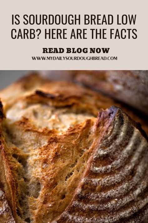 Sour Dough Bread Nutrition, Sourdough Low Carb Recipes, Cardiologist Bread Recipe, Is Sourdough Bread Healthy, Bread Inclusion Ideas, High Fiber Sourdough Bread, Sourdough Benefits Health, Keto Sourdough Recipes, Health Benefits Of Sourdough Bread