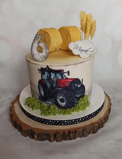 Farming Cakes For Men, Quad Bike Cake, Cake Tractor, Farmer Cake, Tractor Cakes, Tractor Birthday Cakes, Digger Cake, Farm Birthday Cakes, Hunting Cake