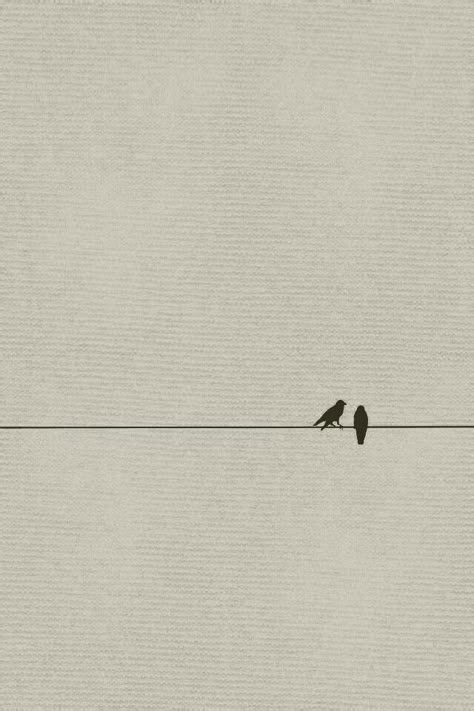 Birds on a wire... Poetry Profile Pictures, Two Birds On A Wire Aesthetic, Two Birds On A Wire Tattoo, Birds On A Wire Tattoo, 2 Birds On A Wire, Two Birds On A Wire, Tattoos For Siblings, Cute Couple Names, Matching Tattoos For Siblings