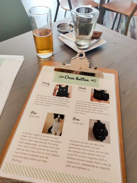 Pet Cafe Aesthetic, Cat Cafe Menu Ideas, Cat Cafe Aesthetic Interior, Cat Cafe Design, Cat Cafe Interior Design, Cat Cafe Ideas, Cat Cafe Interior, Cat Cafe Aesthetic, Cafe Owner