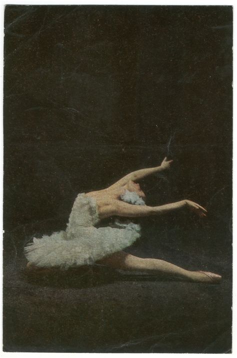 Maya Plisetskaya ph. R. Shrade Ballet Pictures, Ballet Beauty, Ballet Inspiration, Ballet Art, Dancing Aesthetic, Ballet Photography, Ballet Beautiful, Swan Lake, Ethereal Art