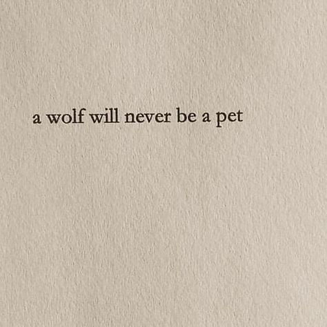 Wolf Quotes Aesthetic, Wolf Quotes Inspirational, Once There Were Wolves, Wolf Poetry, Wolves Aesthetic, Wolf Poem, Wolf Quote, Pretty Poetry, Wolf Aesthetic