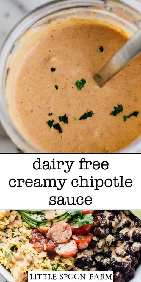 Creamy Chipotle Sauce is dairy-free and perfect for pouring over black bean burrito bowls for an extra burst of flavor. It's easy to make and plant-based too! This sauce is a mixture of some really simple ingredients and all you need is a bowl and a spoon. No blenders required! Little Spoon Farm, Creamy Chipotle Sauce, Black Bean Burrito, Dairy Free Sauces, Bean Burrito, Plant Based Diet Meal Plan, Healthy Bowls Recipes, Plant Based Recipes Easy, Healthy Plant Based Recipes