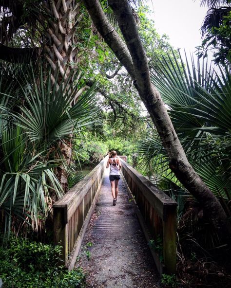 Kiawah Island Wedding, Kiawah Island South Carolina, Coastal Georgia, Cumberland Island, Spring Shoot, Charleston Travel, Anniversary Shoot, Summer Poses, What To Do Today