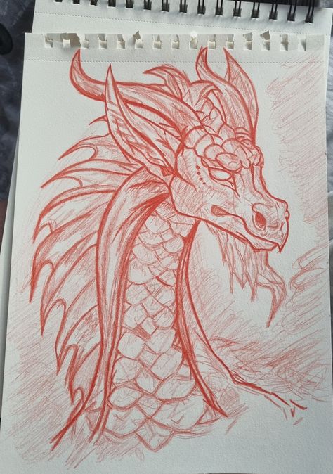 Chinese New Year Dragon Drawing, Traditional Chinese Dragon Art, Red Dragon Drawing, Red Dragon Painting, Traditional Japanese Dragon, Chinese Dragon Drawing, Embroidery Things, Chinese Dragon Art, Red Dragon Tattoo