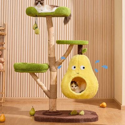 Fun pear tree: with multiple small balls of plush toys to attract cats to play. The cute and lively shape makes it a happy kingdom for cats as well as a lovely home decoration. Dual-purpose litter pads: the litter pads can be reversed, and can be used in both winter and summer. The short plush cat litter is skin-friendly and comfortable, making cats feel cozy at home. Removable design, easy to install and clean. Thickened natural fruit wood: artificially selected thick branches and trunks, natur Human Sized Cat Tree, Cute Cat Trees, Cat Cardboard House, Cute Cat Tree, Fruit Cat, Wood Cat Tree, Cat Climbing Shelves, Cat Tree House, Cat Climbing Frame