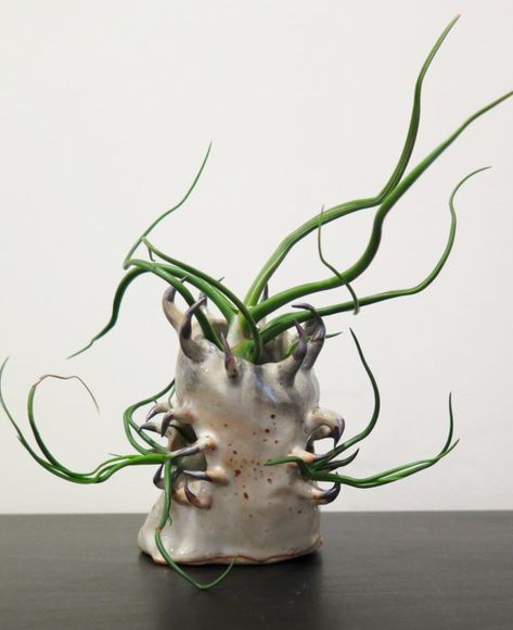 Claws and Teeth Emerge From Otherworldly Ceramic Vessels by Gregory Knopp | Colossal Fun Ceramics, Ceramic Vessels, Organic Ceramics, Cerámica Ideas, Colossal Art, Handmade Plant, Visual Culture, Ceramic Plant Pots, Plant Vase