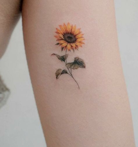 Feminine Skull Tattoos, Animal Tattoo Ideas, Ear Tattoo Ideas, Ribbon Tattoos, Tattoos For Women Flowers, Sun Tattoos, Infinity Tattoos, Sunflower Tattoos, Bee Tattoo