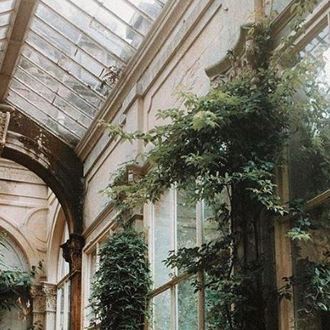 Jane French Home on Instagram: "The Orangery at Castle Ashby, Northamptonshire, England @ad_magazine #janefrenchhome #chezorleans #admagazine #orangery #garden #tampaantiques #frenchantiques" Orangery Aesthetic, French Greenhouse, French Greenhouse Aesthetic, Dark Beast, Castle Ashby, Greenhouse Aesthetic Victorian, Orangerie Paris, Abandoned Greenhouse Victorian, The Orangery