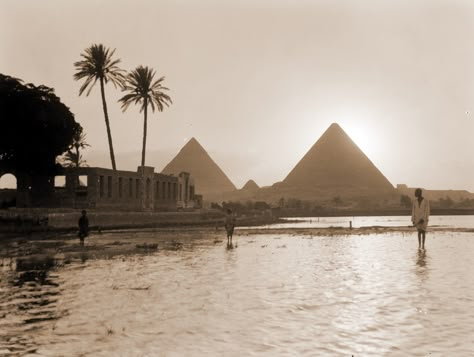 The Nile floods near the pyramids, circa 1930's Egypt Aesthetic, Prince Of Egypt, The Pyramids, The Nile, Brooms, Giza, Future Life, Pretty Places, Ancient Egypt