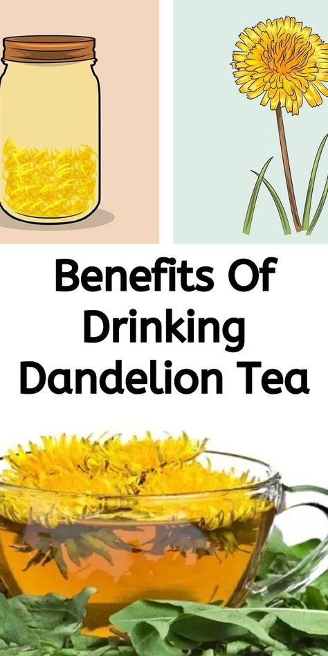 Benefits Of Drinking Dandelion Tea Dandelion Tea Benefits, Dandelion Tea Recipe, Roasted Dandelion Root Tea, Dandelion And Burdock, Roasted Dandelion Root, Dandelion Benefits, Dandelion Root Tea, Dandelion Tea, Losing 40 Pounds