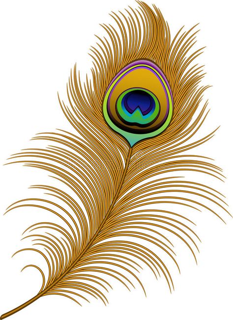 Peacock Feather Drawing, Feather Clip Art, Peacock Feather Art, Peacock Images, Feather Drawing, Feather Vector, Peacock Wall Art, Peacock Painting, Peacock Art