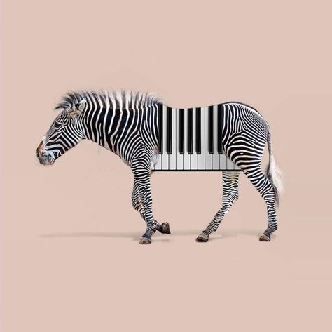 Animal Edits, Animal Mashups, Hybrid Art, Zebra Art, Weird Creatures, So Funny, Art Drawings For Kids, Creative Photos, Surreal Art