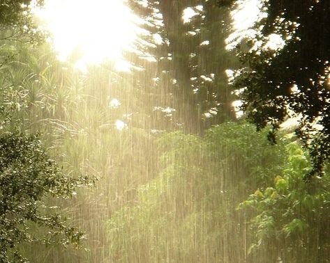 Light Shower Aesthetic, Sunny Rain, Rainy Aesthetic, Favorite Weather, I Love The Rain, Painted Sky, Rain Aesthetic, Love The Rain, Rainy Day Aesthetic