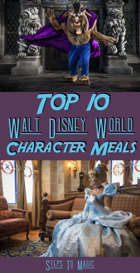 Character Meals At Disney World, Dining At Disney World, Disney Anniversary, Character Disney, Disney World Secrets, Character Dining, Disney World Vacation Planning, Disney World Characters, Disney World Restaurants