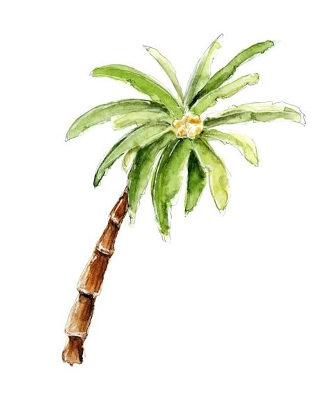 Tropical beach palm watercolor hand draw... | Premium Vector #Freepik #vector #watercolor Thursday Drawing, Palm Watercolor, Tropical Drawing, Palm Tree Sketch, Beach Sketch, Photo Book Cover, Palm Tree Drawing, Surf Art Print, Summer Drawings