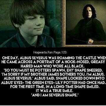 Albus Severus Potter, Albus Severus, Glume Harry Potter, In The Feels, About Harry Potter, Funny Harry Potter Jokes, Severus Rogue, Harry Potter Memes Hilarious, Harry Potter Feels