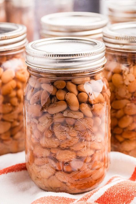 How to Pressure Can Pinto Beans: An Affordable Everyday Staple Pressure Canning Chili With Meat And Beans, Canning Pinto Beans Pressure, Canning Beans Pressure Cooker, Canning Pinto Beans, Pressure Canner Recipes, Instant Pot Pinto Beans, Canning Beans, Canning And Preserving, Pinto Bean Recipes