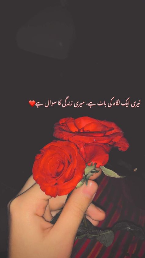 Rose Day Pic, Rosé Snapchat, Urdu Aesthetic, Couple Illustration Wedding, Happy Birthday Cake Photo, Best Friend Dates, Wedding Captions, Rose Quotes, Instagram Captions For Friends