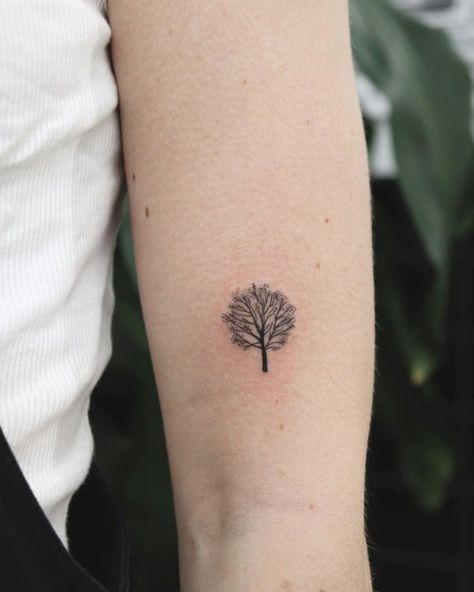 Oak Tree Tattoo Designs And Ideas Dainty Tree Tattoos For Women, Modern Small Tattoos, Small Olive Tree Tattoo, Orange Tree Tattoo Minimalist, Minimalist Tree Tattoo With Roots, Minimalist Oak Tree Tattoo, Tiny Tree Tattoos For Women, Micro Tree Tattoo, Tiny Oak Tree Tattoo