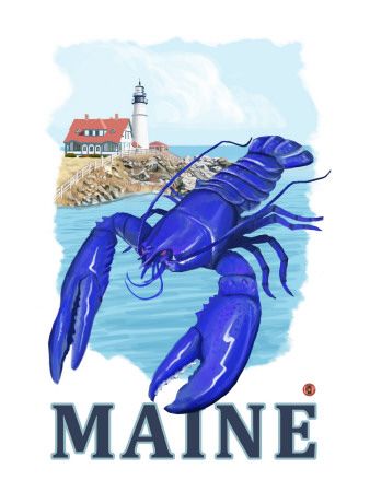 Lobster Posters at AllPosters.com Blue Lobster, Maine New England, Maine Lighthouses, Maine Art, Posters For Sale, Modern Photography, Printing Press, Stock Paper, Vintage Travel Posters