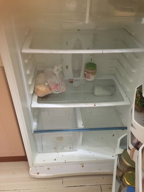 Empty Refrigerator Food, Frigerator Food, Empty Fridge Format For Client, Empty Refrigerator, Empty Fridge, Full Fridge, Hospital Admit, Deni Denials, Fake Ft Call