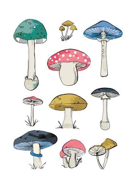 Types Of Mushrooms, Mushrooms Art, Gouache Illustration, Mushroom Drawing, Reference Drawing, Mushroom House, Arte Sketchbook, Mushroom Art, Hippie Art