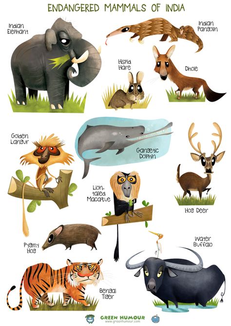 Reading Lab, Animal Infographic, Elephant India, Wildlife Of India, Indian Animals, Animals Information, Animal Caricature, Indian Independence, Indian Independence Day