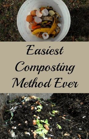 Composting Tips, How To Start Composting, Composting For Beginners, Small Vegetable Garden, Start Composting, Composting 101, Make Compost, Composting Methods, Compost Mulch