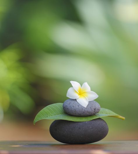 Do you all feel at home? Inner Peace Art, Clay Wall Art, Meditation Apps, Dp For Whatsapp, Lovely Flowers Wallpaper, Peace Art, Clay Wall, Unique Nature, Zen Garden