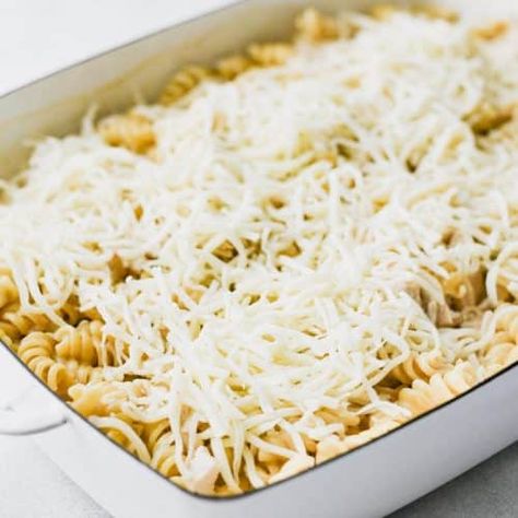 A 10-minute crowd-pleaser, this chicken Alfredo bake is an easy, cheesy, comfort food dinner for your busiest weeknights -- and you don't even have to boil the pasta! Baked Pasta With Alfredo Sauce, Alfredo Pasta For A Crowd, Chicken Alfredo For A Large Crowd, Fettucini Alfredo Bake, Baked Alfredo Pasta, No Boil Pasta Bake, Homemade Chicken Alfredo, Alfredo Pasta Bake, Alfredo Casserole