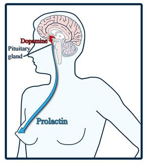 for Pituitary Gland Tumor, Pituitary Tumor, Brainwave Entrainment, Adrenal Health, Pituitary Gland, Brain Surgery, Endocrine System, Insulin Resistance, Autoimmune Disease