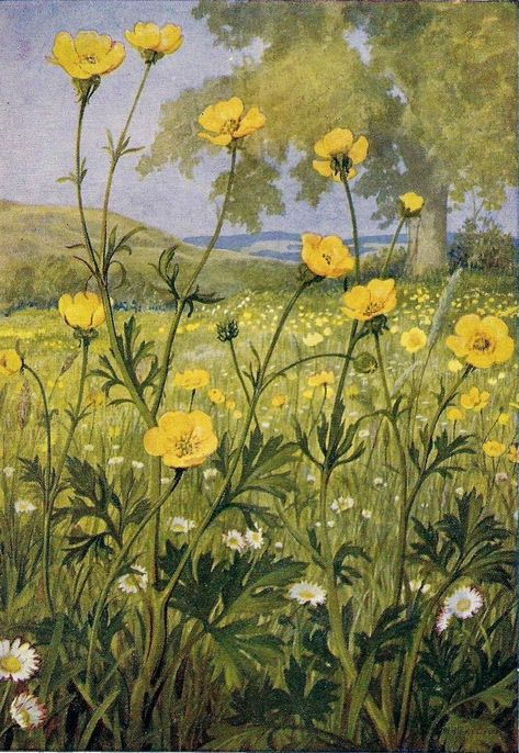 Buttercup Flower Painting, Buttercups Flowers Aesthetic, Buttercup Aesthetic Flower, Wild Flowers Art, Buttercup Flower Aesthetic, Buttercups Aesthetic, Buttercup Painting, Buttercups Flower, Wild Flowers Aesthetic