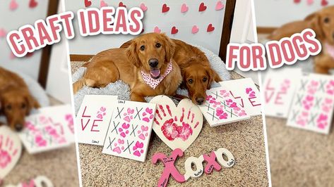 Dog Paw Valentines Craft, Dog Valentines Craft, Dog Paw Print Valentine Craft, Dog Paw Print Craft, Paw Print Crafts, Pet Influencer, Kid Diy, Dog Craft, Paw Painting