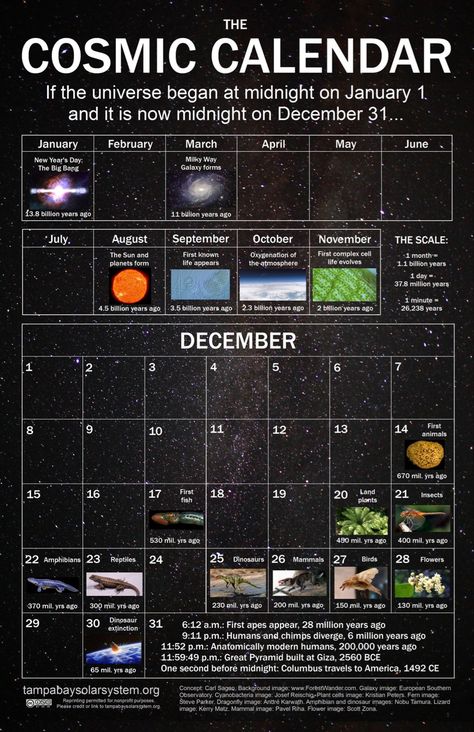 Real Solar System, Model Of The Solar System, Cosmic Calendar, Astronomy Facts, Astronomy Science, Space Ship Concept Art, Calendar Poster, Astronomy Lover, Earth And Space Science