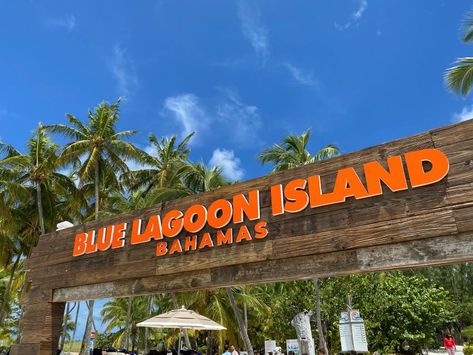 Blue Lagoon Nassau Bahamas, Blue Lagoon Bahamas, Blue Lagoon Island Bahamas, Bahamas Map, Shark Swimming, City Family, Nassau Bahamas, Is It Worth It, Beach Vacations