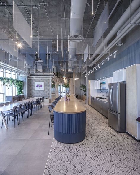 Gallery of Viz.ai Office / Switchup - 24 Office Pantry Design, Collaboration Workspace, Open Concept Office, Office Cafeteria, Office Canteen, Modern Kitchen Appliances, Office Pantry, Office Design Inspiration, Indoor Tree