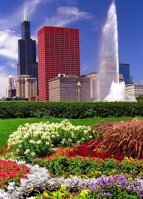 Grant Park Chicago, Chicago Wallpaper, Chicago Flowers, City Puzzle, Chicago Living, Buckingham Fountain, Sears Tower, Chi Town, Visit Chicago