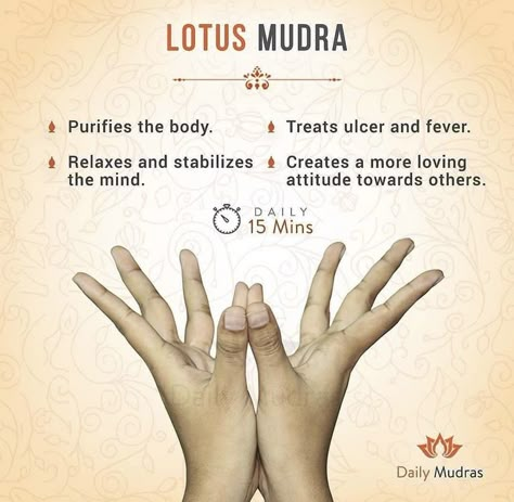 Mudras For Meditation, Yoga Mudras Hands, Daily Mudras, Lotus Mudra, Mudras Hand, Yoga Mudra, Hand Mudras, Yoga Facts, Yoga Hands