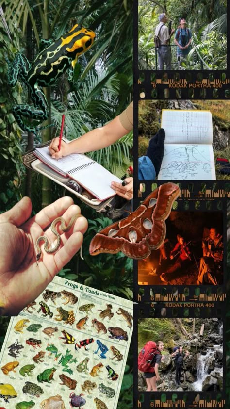 Zoology Aesthetic Notes, Zoology Aesthetic, Zoology Career, Environmental Science Major, Wildlife Biology, Outfitinspo Style, Biology Major, Hawaii Aesthetic, Notes Cover